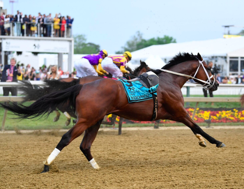 Pegasus World Cup Odds, Contender Profile: Bodexpress