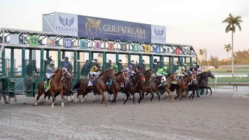 Pegasus World Cup Predictions, Odds, Pick (Gulfstream Park)