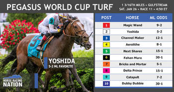 Pegasus World Cup Turf 2019: Entries, odds and post positions