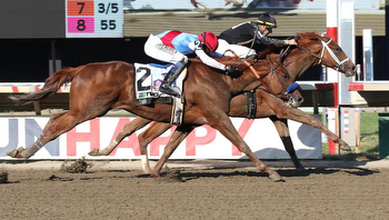 Pennsylvania Derby Draws Star Studded Field to Parx