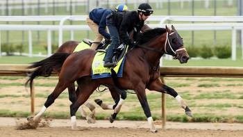 Pennsylvania horse Around the Empire goes to the Kentucky Derby