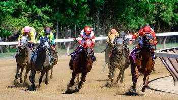 Personal Ensign Stakes (Saratoga) Predictions, Odds & Picks