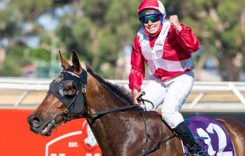 Perth Cup 2023 Tips, Betting & Results