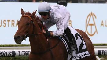 Phar Lap relation Kote is ready to shine in Hawkesbury Guineas