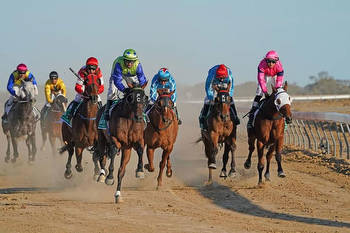 Phil Cole Leaves Birdsville Races With Cup & Sprint Titles