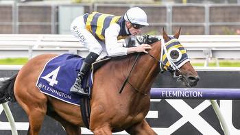 Phillip Stokes puts faith in globetrotter as he chases third straight Adelaide Cup