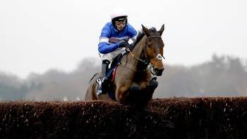 Pic D'Orhy in great heart ahead of Coral Silviniaco Conti Chase at Kempton