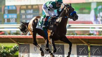 Picks to win, horses to avoid while betting on Saturday's Breeders' Cup