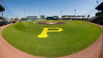 Pittsburgh Pirates Prospects: Underrated Relief Pitcher to Watch