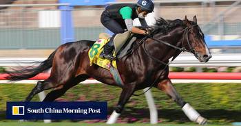 Pixie Knight finds his calling, set to start favourite in Hong Kong Sprint