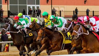 Playing a Longshot in the 2022 Demoiselle Stakes