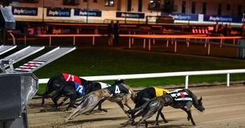 Plenty Of Excitement Ahead As Irish Greyhound Derby Enters Final Stages