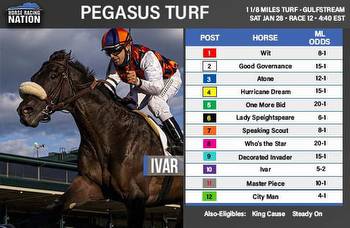 Pletcher goes for 3rd straight Pegasus Turf win; see the field