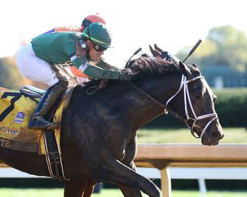 Pletcher‘s Fountain of History