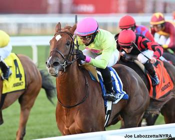 Plum Ali Chasing Form Reversal In Pimlico's All Along