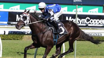 Port Macquarie preview: Big Dance qualifier looks good for Our Candidate