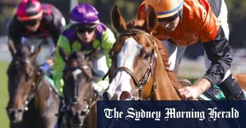 Port Macquarie races Friday tips and full preview