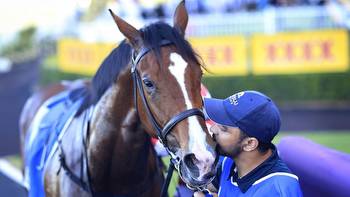 Portelli plots Golden Slipper path with Sejardan