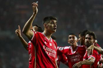 Portimonense SC vs Benfica Prediction, Betting Tips & Odds