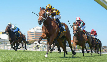 Positive signs for Guineas shift