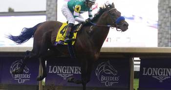 Post Time: Flightline soars in Classic performance at Breeders' Cup