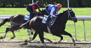 Post Time: Forte ready to step forward in Jim Dandy