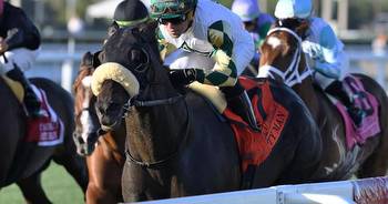 Post Time: Pegasus undercard highlighted by Pegasus World Cup Filly, Mare Turf, World Cup Turf