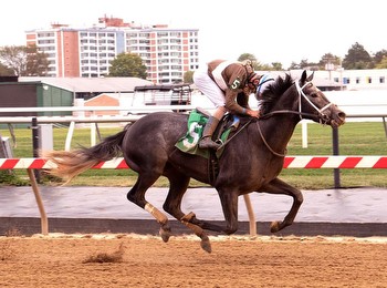 Post Time Stays Perfect in Return Friday