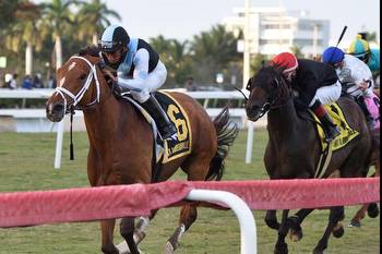 Potential prep for the Pegasus World Cup Turf set in Florida