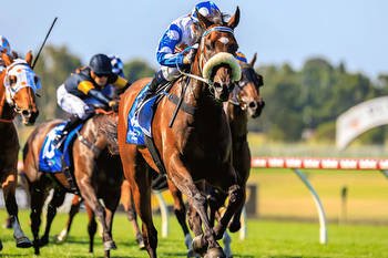 Pounding Ready To Step Up In The Australian Cup At Flemington