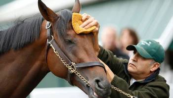 Preakness 2016: Updated odds, post positions