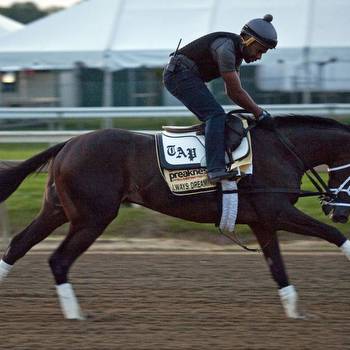 Preakness 2017 Odds: Jockeys to Trust, Fastest Horses and More Picks