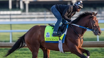 Preakness 2022: Post positions, odds, analysis