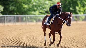 Preakness 2023 live stream: How to watch online right now, race time, horses and odds