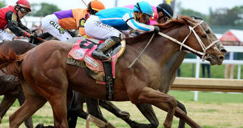 Preakness 2023 Post Positions: Draw Start Time, Horses Lineup and More