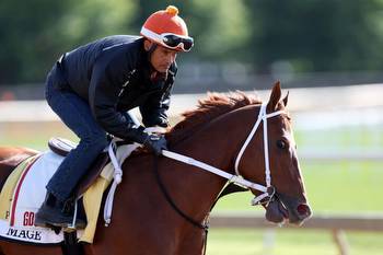 Preakness 2023 predictions, odds: Expert picks for Saturday’s second race in the Triple Crown