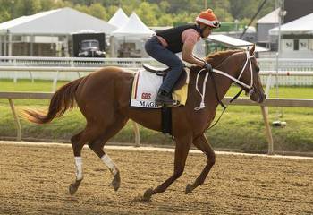 Preakness betting guide: Our pick for a winner (and advice on hitting a lucrative exacta)