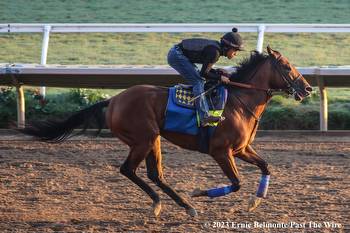 Preakness Hero National Treasure a Go in G1 Awesome Again
