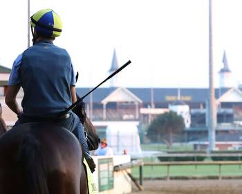 Preakness Odds & Ends: Asmussen Entering 3 Horses; Filly Swiss Skydiver Still in Picture