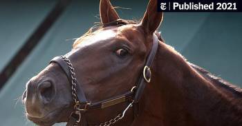 Preakness Odds and Picks: Who Will Win?