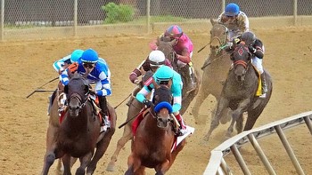 Preakness Stakes 149 Betting Pool Opens: Nysos Leads as 4-1 Favorite