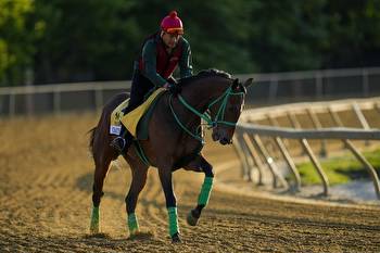 Preakness Stakes 2023: Can Chase the Chaos bounce back?