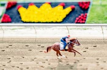 Preakness Stakes 2023: Odds, free PPs, preview, analysis, more