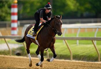 Preakness Stakes 2023: Picks and predictions from the experts