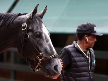 Preakness Stakes Expert Picks: Contenders, Betting Plays & More