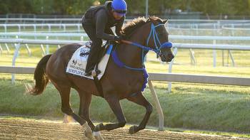 Preakness Stakes: How to bet $100 for this year's race