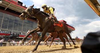 Preakness Stakes post positions: Full draw & odds for the 2022 Triple Crown race