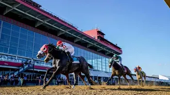 Preakness Stakes Predictions, Picks, Betting Odds