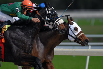 Preakness’ Winner and Runner-up to Skip Belmont Stakes 2022