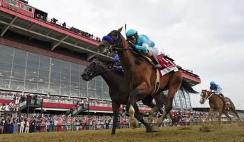 Preakness winner National Treasure has final workout for Belmont Stakes